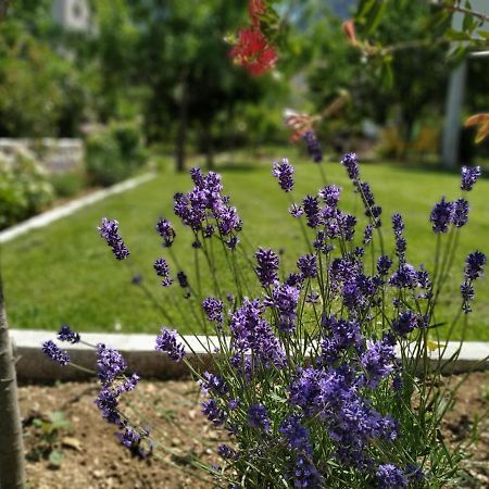 Apartments Grgurević Kotor Zewnętrze zdjęcie